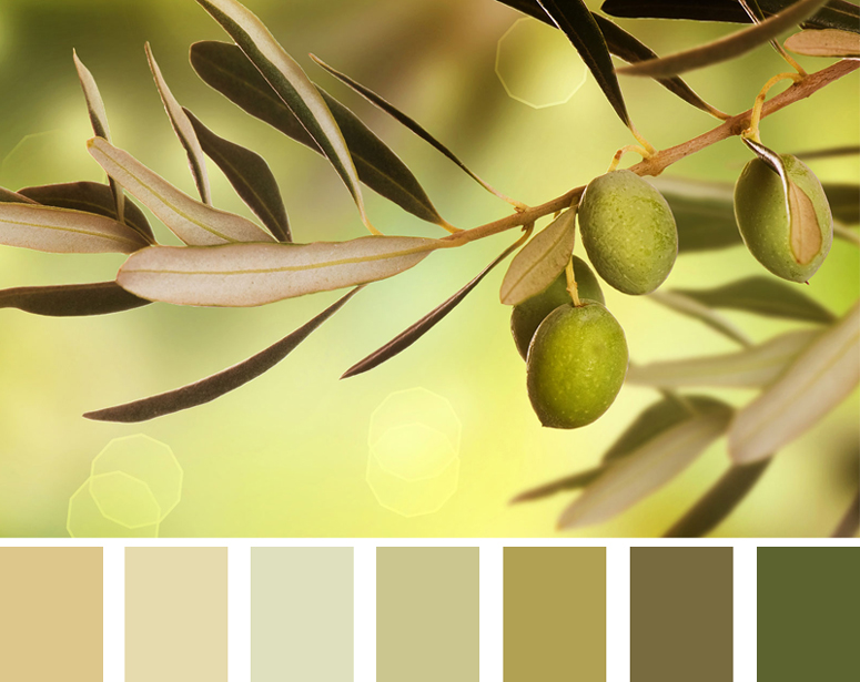 Оттенки оливкового цвета