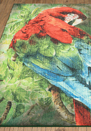 ковер в перспективе Confetti Kids Scarlet Macaw 01 Green