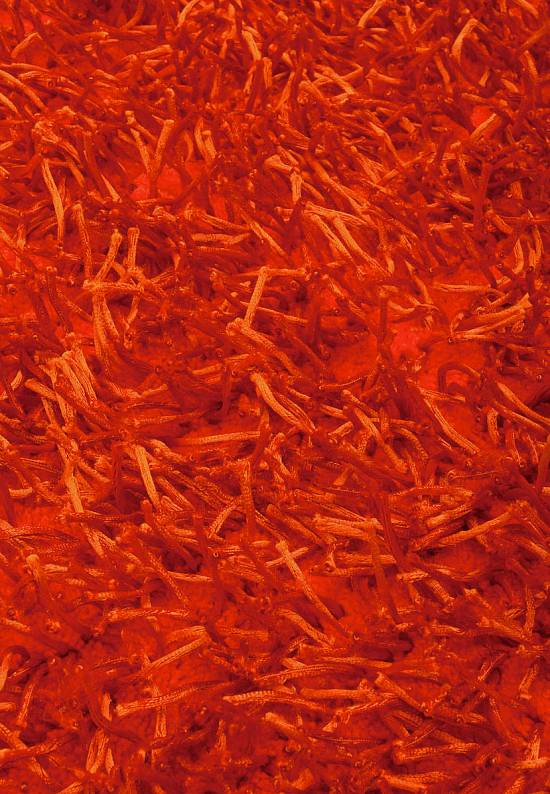 Оранжевый коврик для ванной MT-1972-21